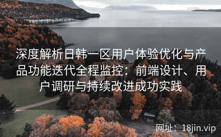 深度解析日韩一区用户体验优化与产品功能迭代全程监控：前端设计、用户调研与持续改进成功实践