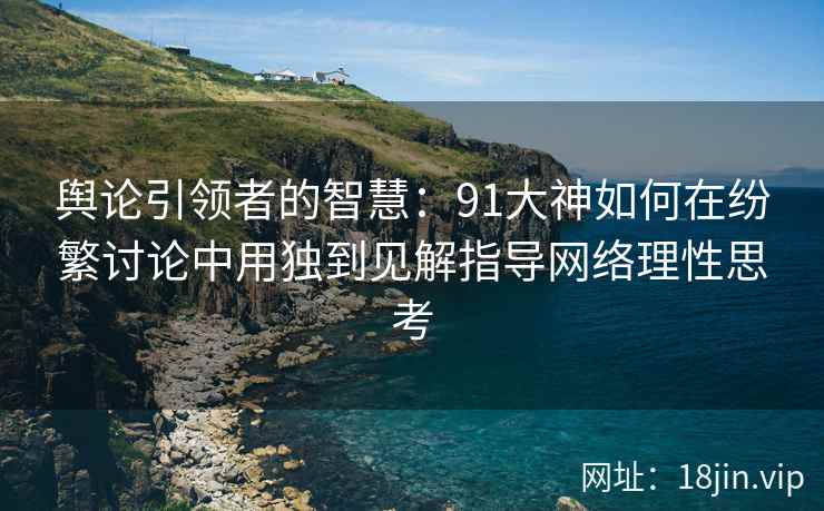 舆论引领者的智慧：91大神如何在纷繁讨论中用独到见解指导网络理性思考