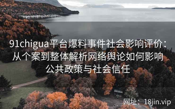 91chigua平台爆料事件社会影响评价：从个案到整体解析网络舆论如何影响公共政策与社会信任